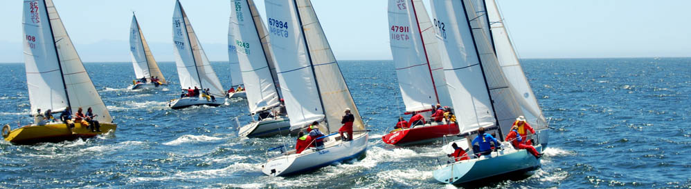 Santa Cruz 27-Phyliss Swift Santa Cruz 27-Phyliss Swift