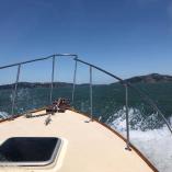 (29') 1974 Dyer Sport Fisher